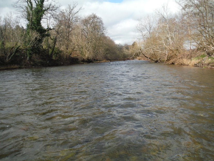 Early March at Brecon